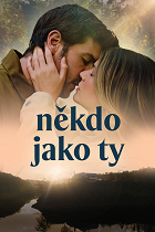 Someone Like You – plakát filmu
