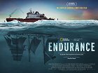 Endurance – plakát filmu