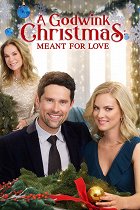 A Godwink Christmas: Meant for Love – plakát filmu