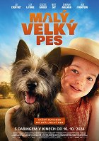 Malý velký pes – plakát filmu