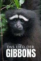 Píseň pro lásku aneb Primáti na seznamce – plakát filmu