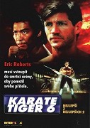Karate tiger 6: Nejlepší z nejlepších 2 – plakát filmu