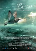 Tajemství tažných ptáků – plakát filmu