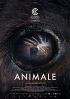 Animale – plakát filmu
