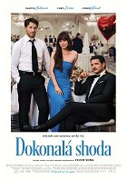 Dokonalá shoda – plakát filmu