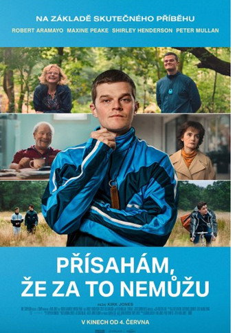 Přísahám, že za to nemůžu – plakát filmu