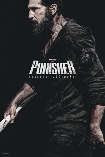Punisher: Poslední zúčtování – plakát filmu
