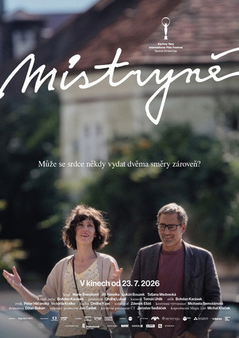 Mistryně – plakát filmu
