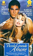 Zamilovaná princezna – plakát filmu