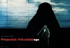 Případ Pekosiňského – plakát filmu