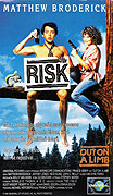 Risk – plakát filmu