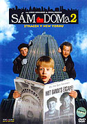 Sám doma 2: Ztracen v New Yorku – plakát filmu