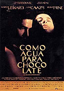 Jako voda na čokoládu – plakát filmu