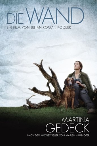 Zeď – plakát filmu
