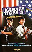 Karate tiger 3: Pokrevní bratři – plakát filmu