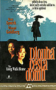 Dlouhá cesta domů – plakát filmu