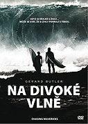 Na divoké vlně – plakát filmu