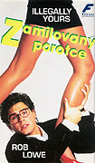 Zamilovaný porotce – plakát filmu