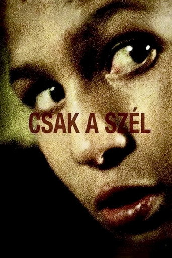 Je to jen vítr – plakát filmu