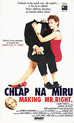 Chlap na míru – plakát filmu