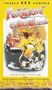 Požární akademie – plakát filmu