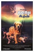 Hledá se Benji – plakát filmu
