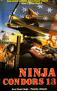 Ninjas, Condors 13 – plakát filmu