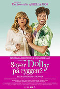 Téměř dokonalý – plakát filmu