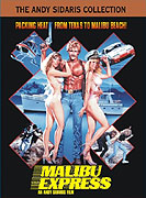 Malibu Express – plakát filmu
