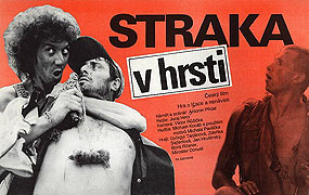 Straka v hrsti – plakát filmu