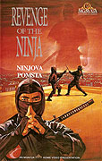 Ninjova pomsta – plakát filmu