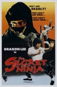 Injamun salsu – plakát filmu