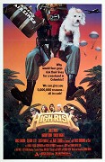 Vysoké riziko – plakát filmu