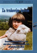 Za trnkovým keřem – plakát filmu