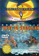 Fury in the Shaolin Temple – plakát filmu