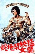 Spirits of Bruce Lee – plakát filmu