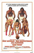 Napůl drsňák – plakát filmu