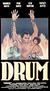 Drum – plakát filmu
