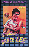 Sbohem Bruce Lee – plakát filmu