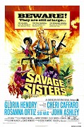 Divoké sestry – plakát filmu