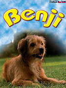 Benji – plakát filmu