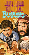 Busting – plakát filmu