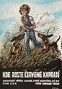 Kde roste červené kapradí – plakát filmu