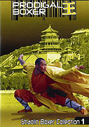 Fang Shi Yu – plakát filmu