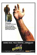 Zrozen k vítězství – plakát filmu