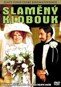 Slaměný klobouk – plakát filmu