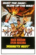 Hnízdo – plakát filmu