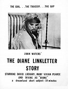 Diane Linkletter Story, The – plakát filmu