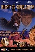 Štístko z Grand Canyonu – plakát filmu