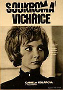 Soukromá vichřice – plakát filmu